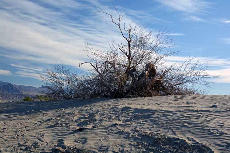 sand dunes